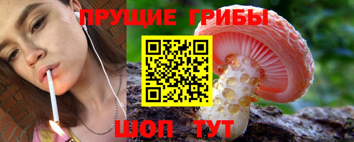 Псилоцибиновые грибы GOLDEN TEACHER  Вход с VPN  Знаменск 
